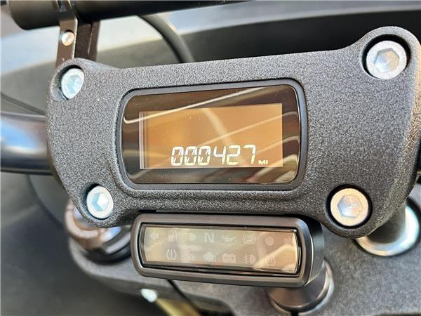 2024 Harley-Davidson Softail