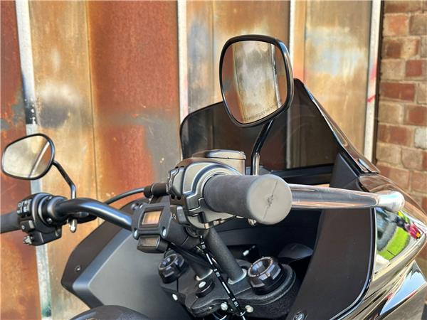 2024 Harley-Davidson Softail