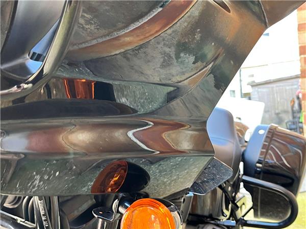 2024 Harley-Davidson Softail