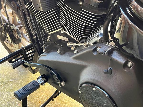 2024 Harley-Davidson Softail