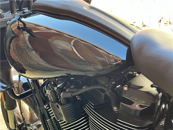 2024 Harley-Davidson Softail