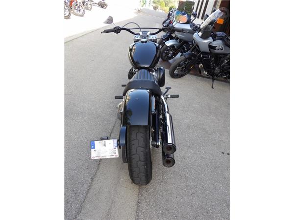 2023 HARLEY-DAVIDSON STANDARD