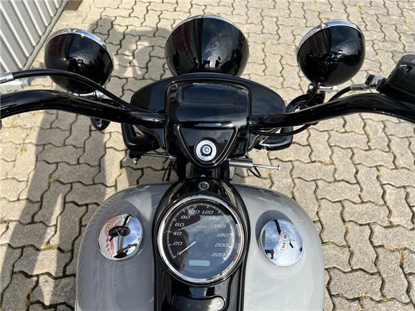 FLRT Freewheeler Billiard Gray 