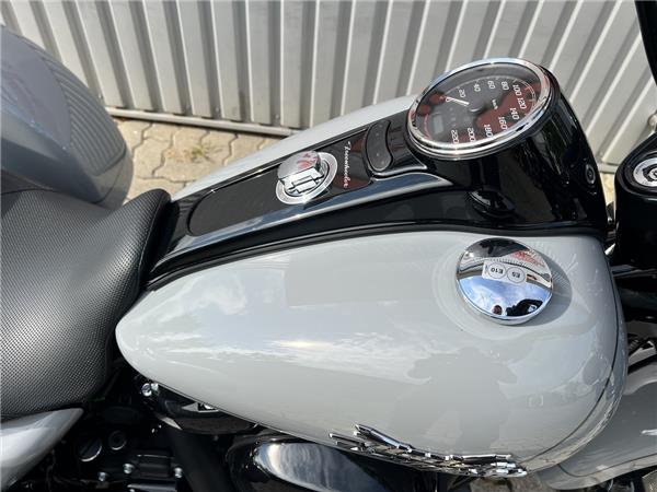 FLRT Freewheeler Billiard Gray 