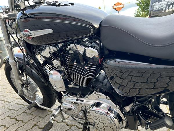 XL2 Sportster Custom 