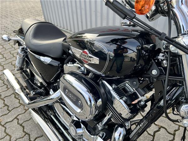 XL2 Sportster Custom 