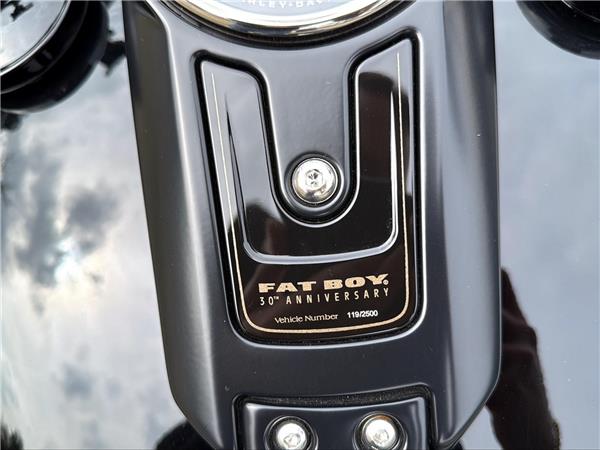 2020 harley-davidson FLFBSANV Fat Boy Anniversary 114 ABS
