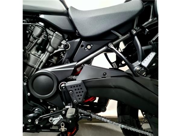 HARLEY-DAVIDSON PAN AMERICA SPECIAL