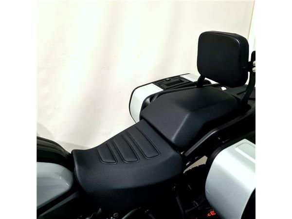 HARLEY-DAVIDSON PAN AMERICA SPECIAL