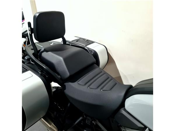 HARLEY-DAVIDSON PAN AMERICA SPECIAL