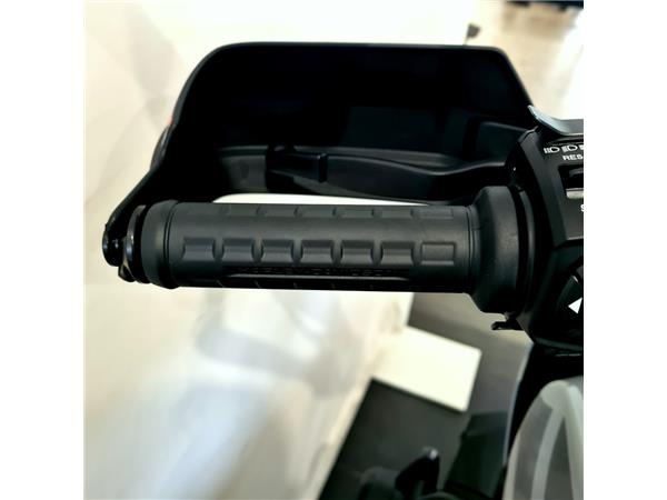 HARLEY-DAVIDSON PAN AMERICA SPECIAL