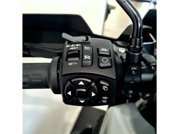 HARLEY-DAVIDSON PAN AMERICA SPECIAL