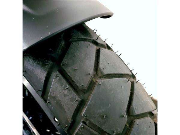 HARLEY-DAVIDSON PAN AMERICA SPECIAL