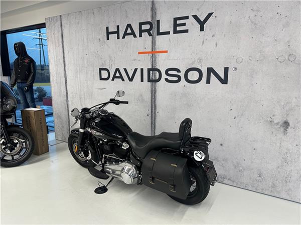 2021 harley-davidson FLSL 1745 Softail Slim 107