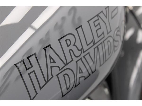 2022 Harley-Davidson Low Rider S