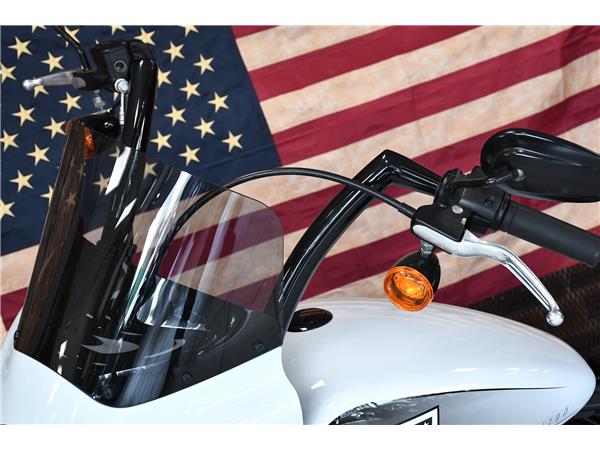 2021 HARLEY-DAVIDSON SOFTAIL FXBBS STREET BOB 114