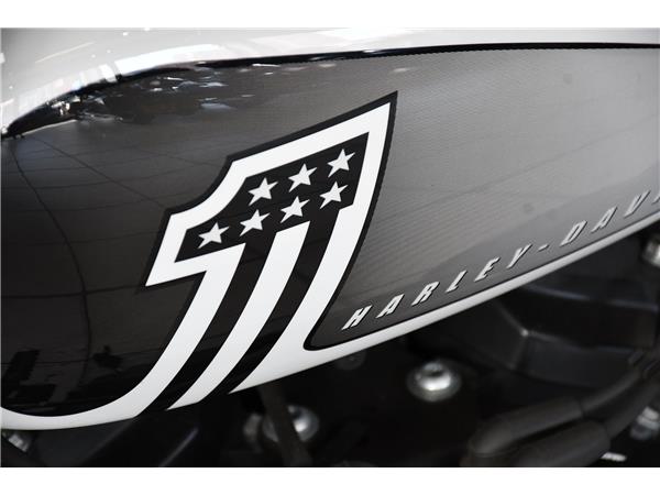 2021 HARLEY-DAVIDSON SOFTAIL FXBBS STREET BOB 114