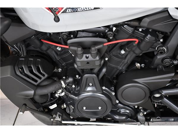 2025 HARLEY-DAVIDSON SPORTSTER S