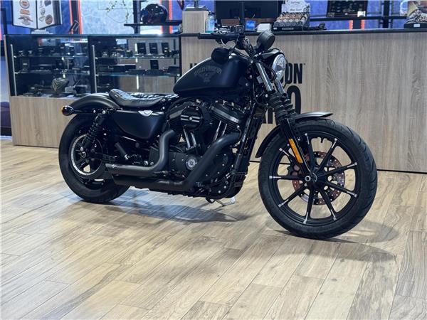 2017 Iron 883