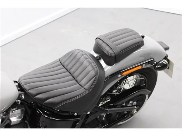 2025 Harley-Davidson Street Bob