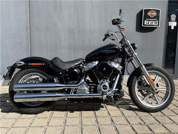 FXST Softail Standard