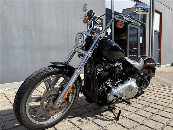 FXST Softail Standard