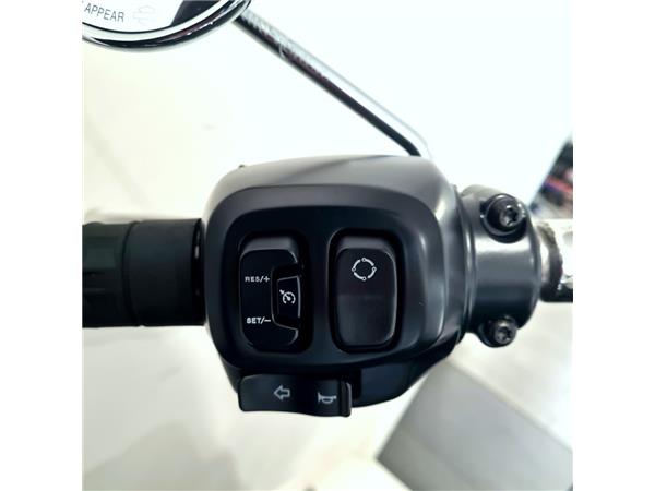 HARLEY-DAVIDSON FAT BOY