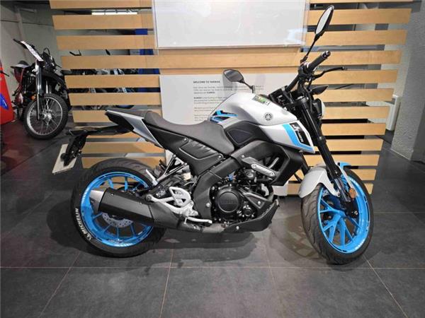 2025 Yamaha MT 125 (MTN 125-A) Grey