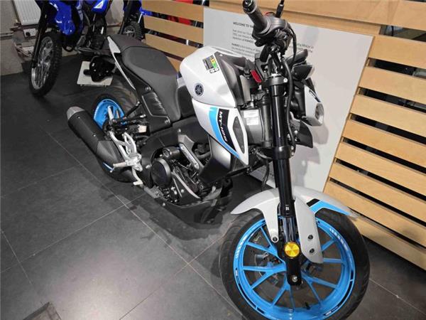 2025 Yamaha MT 125 (MTN 125-A) Grey