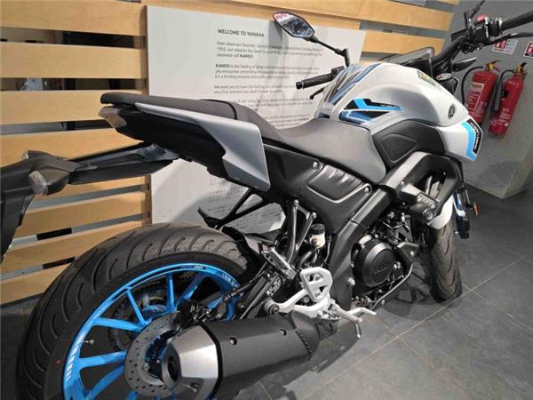 2025 Yamaha MT 125 (MTN 125-A) Grey
