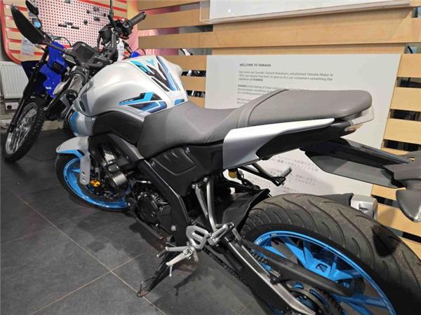 2025 Yamaha MT 125 (MTN 125-A) Grey