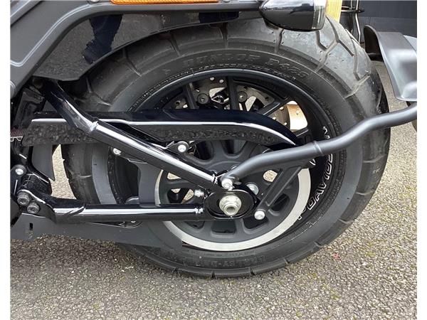 2024 Harley-Davidson Softail