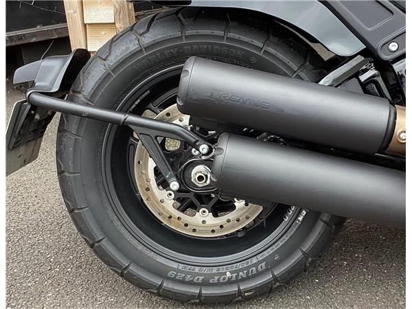 2024 Harley-Davidson Softail