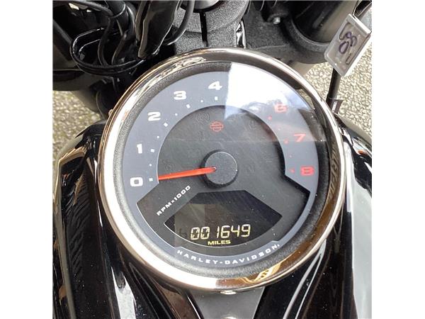 2024 Harley-Davidson Softail