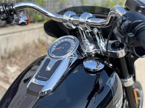 Harley-Davidson Softail-Cruiser