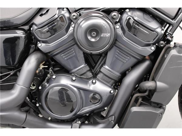 2025 Harley-Davidson Nightster Special