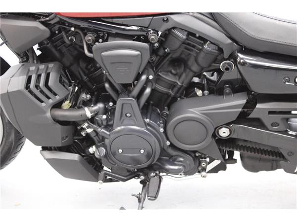 2025 Harley-Davidson Nightster Special