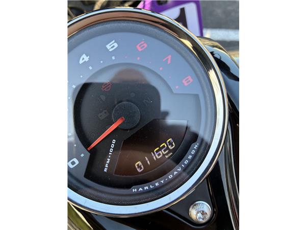 2023 HARLEY-DAVIDSON FAT BOB