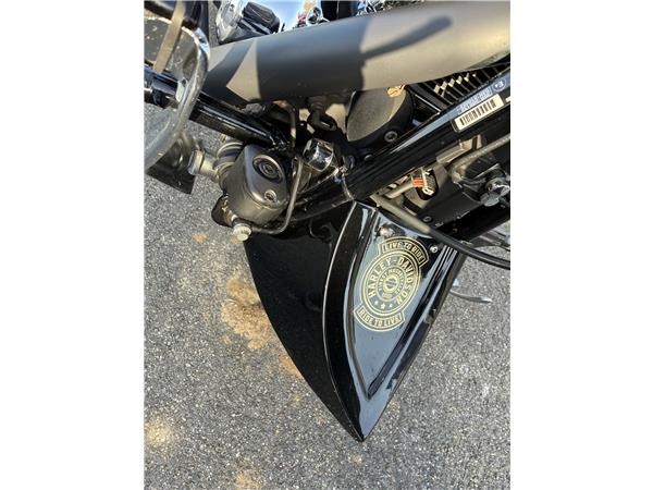 2015 HARLEY-DAVIDSON BREAKOUT