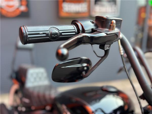 2018 Harley-Davidson Softail Street Bob FXBB