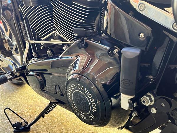 2023 Harley-Davidson Softail