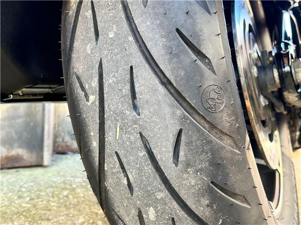 2023 Harley-Davidson Softail