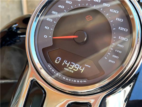 2023 Harley-Davidson Softail