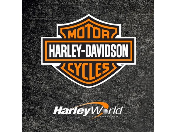 2025 HARLEY-DAVIDSON SOFTAIL FLSTF FAT BOY