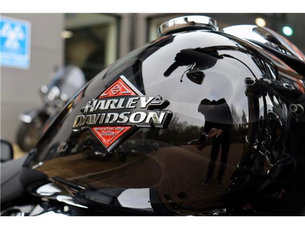 2025 HARLEY-DAVIDSON FXBR BREAKOUT