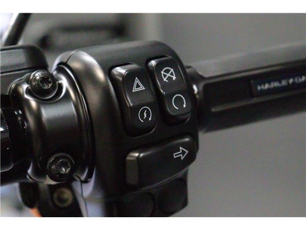 2025 HARLEY-DAVIDSON ROAD KING SPECIAL