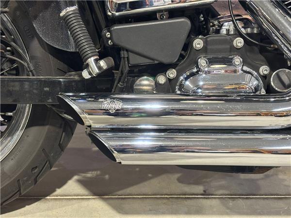 2015 HARLEY-DAVIDSON DYNA FXDL LOW RIDER