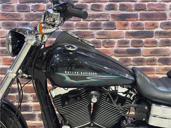 2015 HARLEY-DAVIDSON DYNA FXDL LOW RIDER