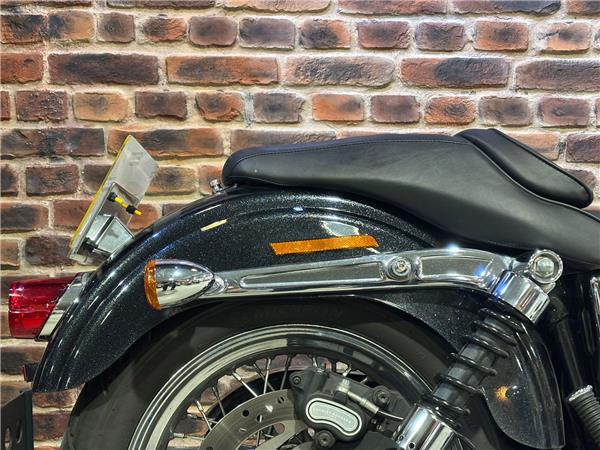 2015 HARLEY-DAVIDSON DYNA FXDL LOW RIDER