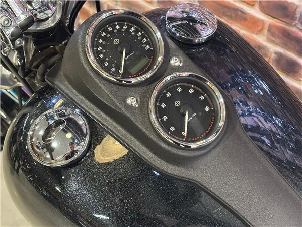 2015 HARLEY-DAVIDSON DYNA FXDL LOW RIDER
